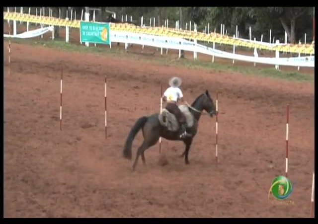 23ª Fecars »  Prova de Rédeas Piá »  6ª RT