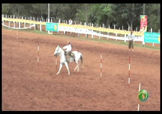 23ª Fecars »  Prova de Rédeas Piá »  1ª RT