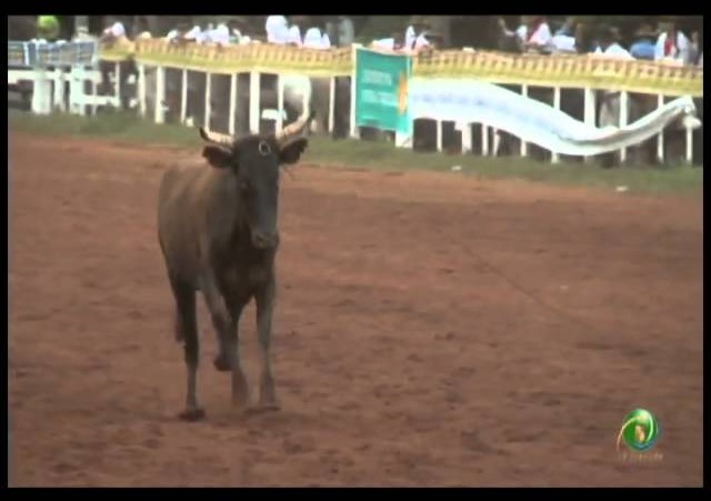 23ª Fecars »  Laço Pai e Filho »  13ª RT