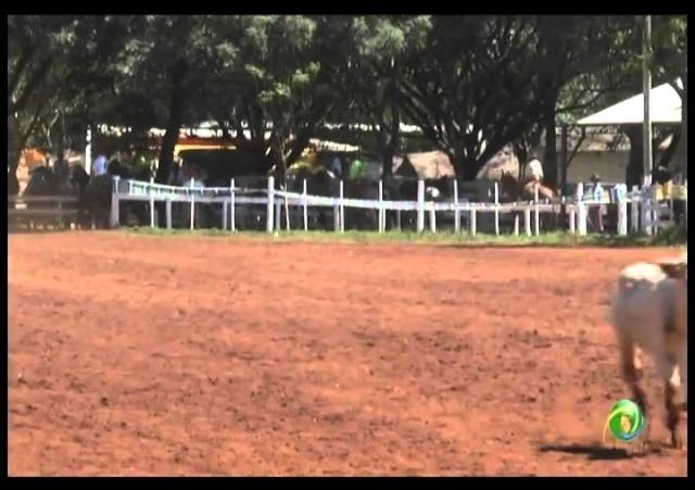 23ª Fecars »  Laço Pai e Filho »  14ª RT