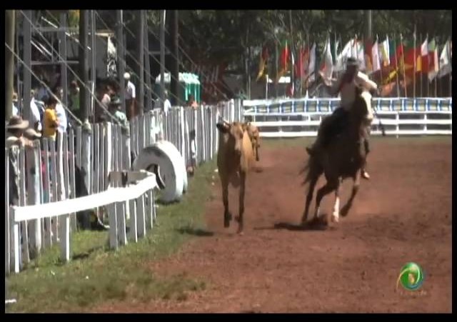 23ª Fecars »  Laço Pai e Filho »  16ª RT