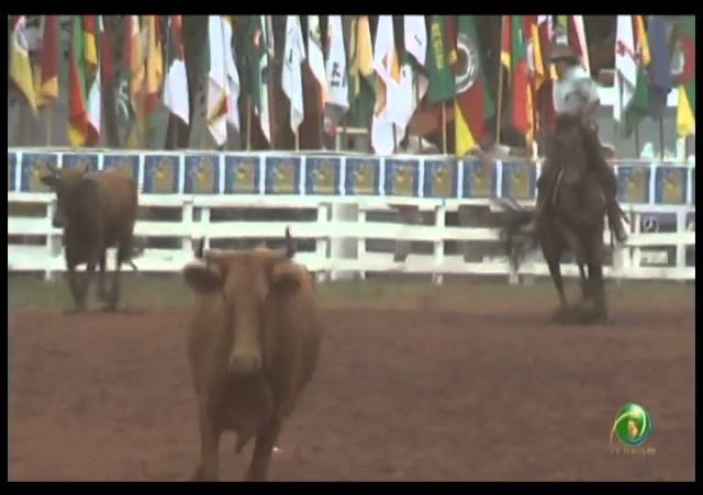 23ª Fecars »  Laço Pai e Filho »  19ª RT