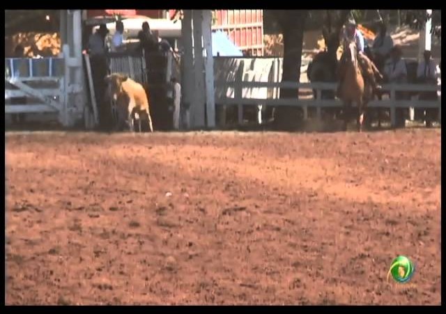 23ª Fecars »  Laço Pai e Filho »  20ª RT