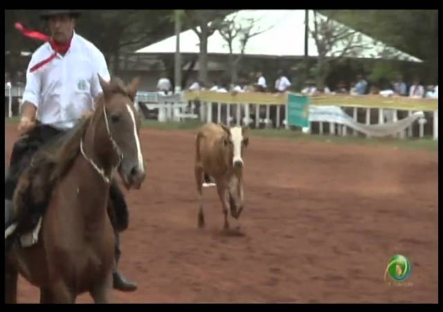 23ª Fecars »  Laço Pai e Filho »  27ª RT