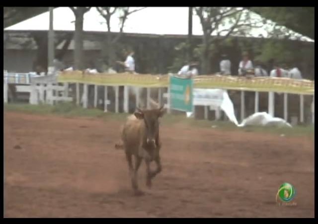 23ª Fecars »  Laço Pai e Filho »  25ª RT