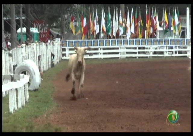 23ª Fecars »  Laço Dupla Rapaz »  12ª RT