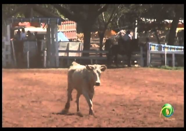 23ª Fecars »  Dupla Prenda  »  29ª RT