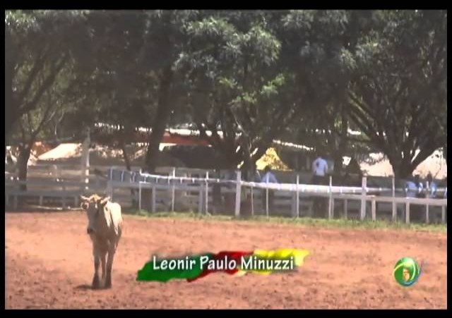 23ª Fecars »  Laço Coordenador »  10ª RT