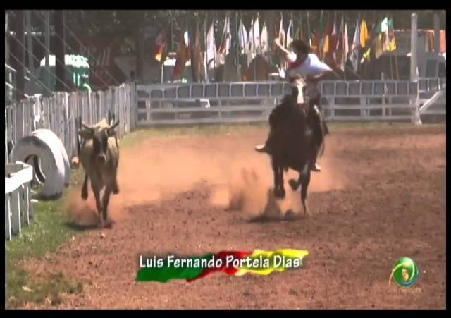 23ª Fecars »  Laço Coordenador »  9ª RT