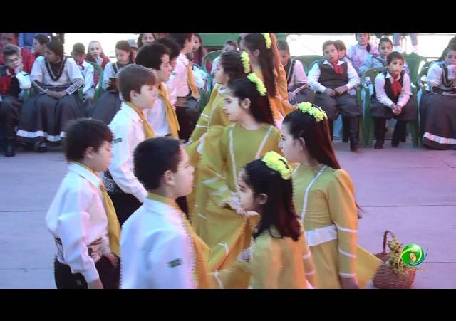 Festejos Farroupilhas de NH 2011 »  Rodeio Escolar »  EMEF Antônio Benfica Filho »  Ipê Amarelo