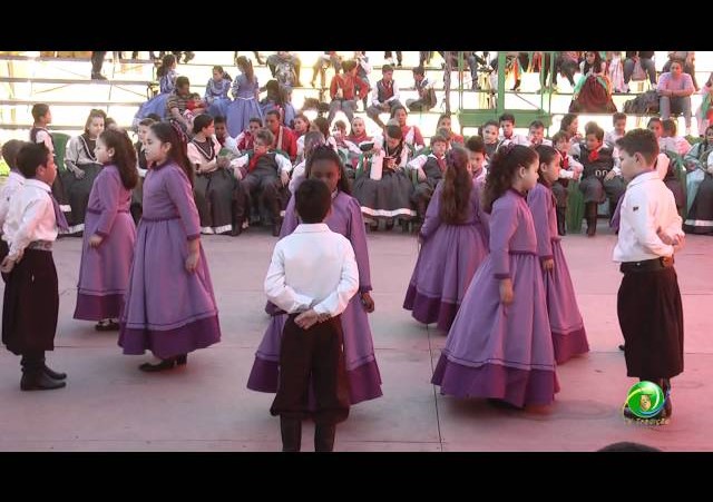 Festejos Farroupilhas de NH 2011 »  Rodeio Escolar »  EMEF Antônio Benfica Filho »  Ipê Roxo