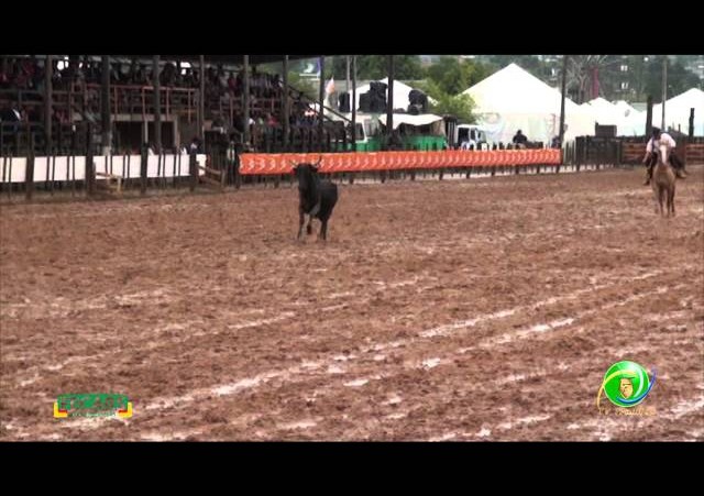 Fecars 2013 - Laço Guri/Guria - 6ª RT - Sexta