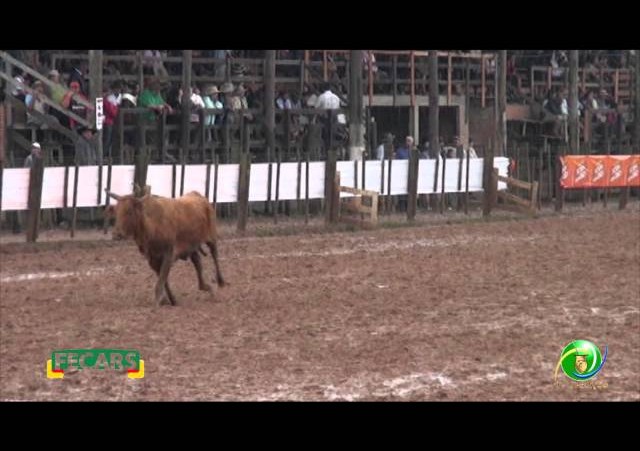Fecars 2013 - Laço Irmãos - 10ª RT