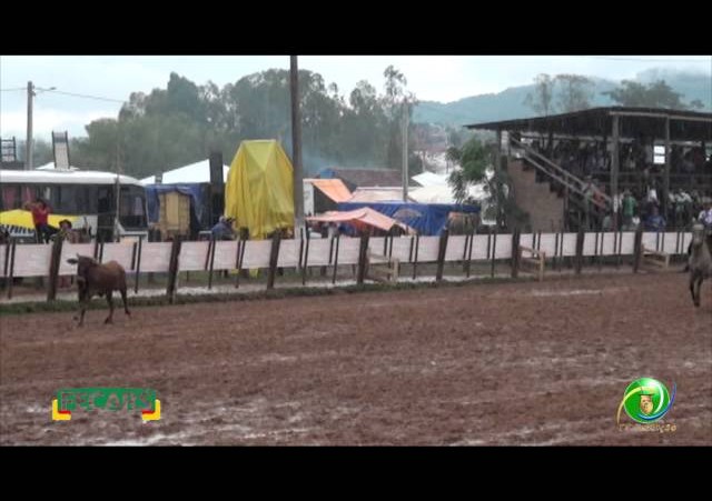 Fecars 2013 - Laço Irmãos - 7ª RT