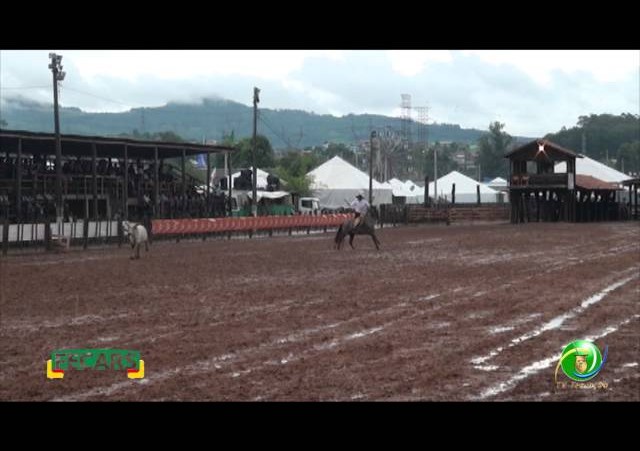 Fecars 2013 - Laço Irmãos - 2ª RT