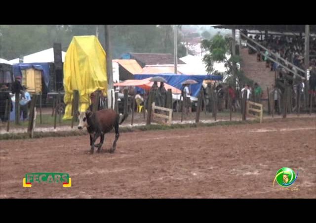 Fecars 2013 - Laço Rapaz - 25ª RT