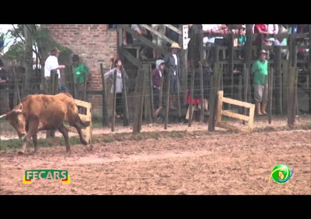 Fecars 2013 - Laço Rapaz - 24ª RT