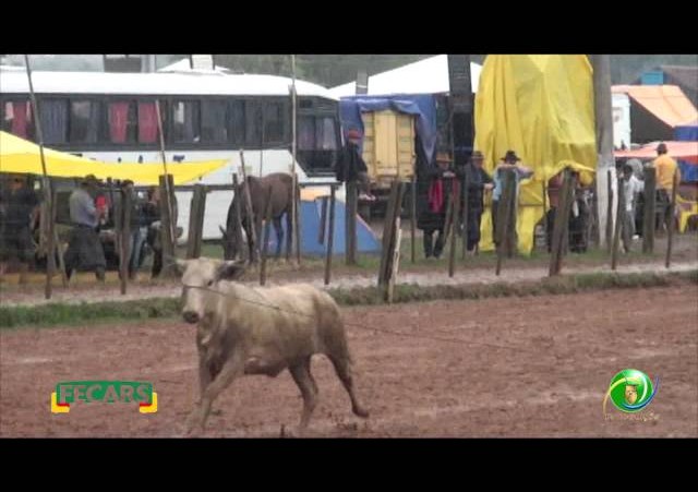Fecars 2013 - Laço Rapaz - 21ª RT