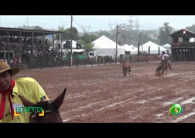 Fecars 2013 - Laço Rapaz - 20ª RT