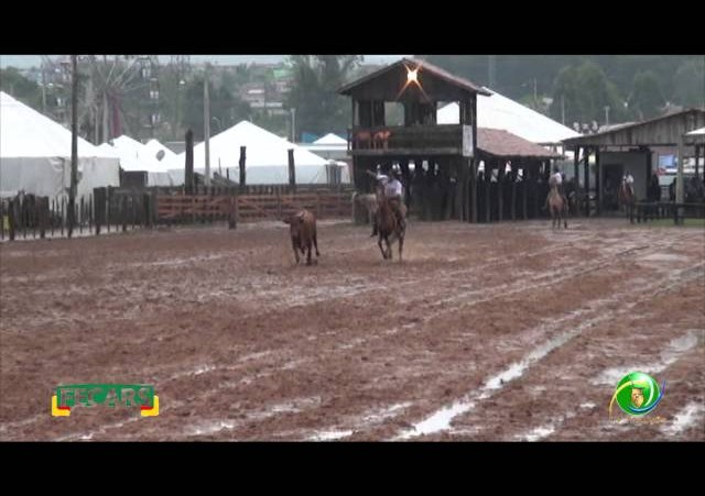 Fecars 2013 - Laço Rapaz - 19ª RT