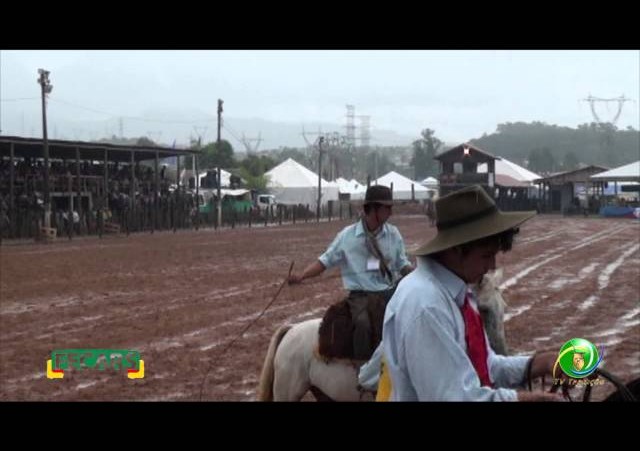 Fecars 2013 - Laço Rapaz - 18ª RT