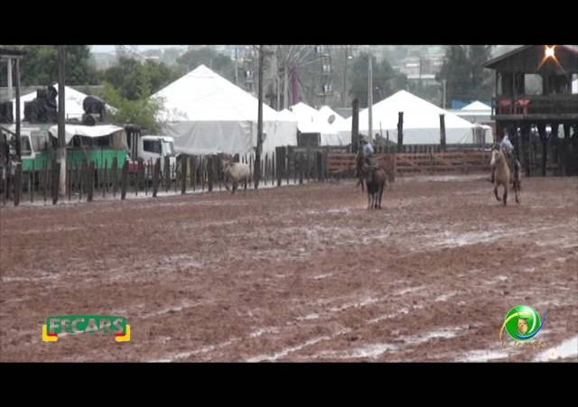 Fecars 2013 - Laço Rapaz - 13ª RT