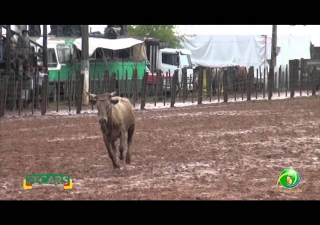 Fecars 2013 - Laço Rapaz - 12ª RT