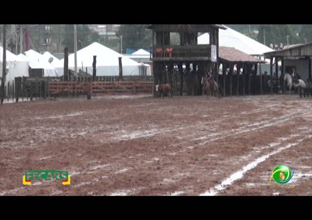 Fecars 2013 - Laço Rapaz - 11ª RT