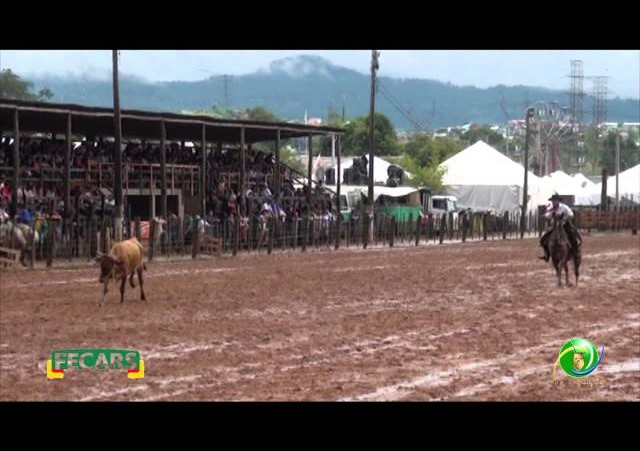 Fecars 2013 - Laço Patrão - 30ªRT