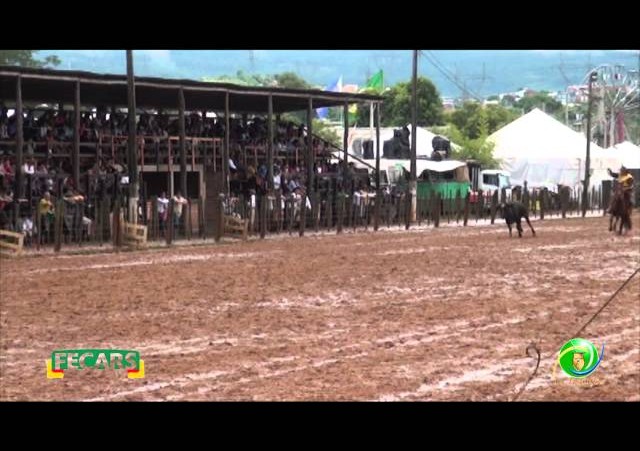 Fecars 2013 - Laço Patrão - 29ªRT