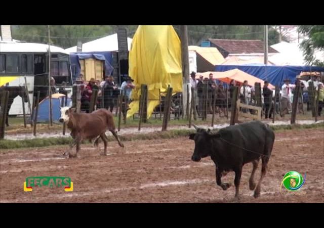 Fecars 2013 - Laço Patrão - 27ªRT