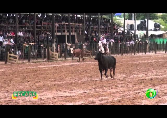 Fecars 2013 - Laço Patrão - 26ªRT