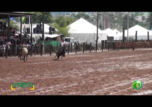 Fecars 2013 - Laço Patrão - 22ªRT