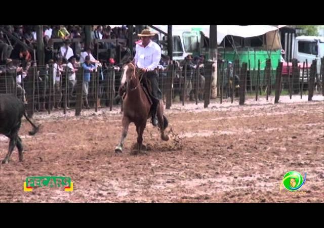 Fecars 2013 - Laço Patrão - 20ªRT