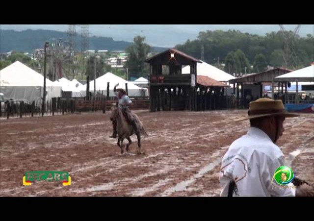 Fecars 2013 - Laço Patrão - 15ªRT