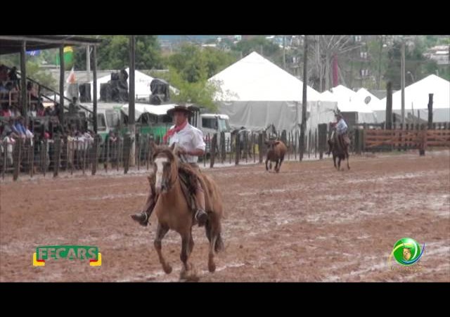 Fecars 2013 - Laço Patrão - 13ªRT