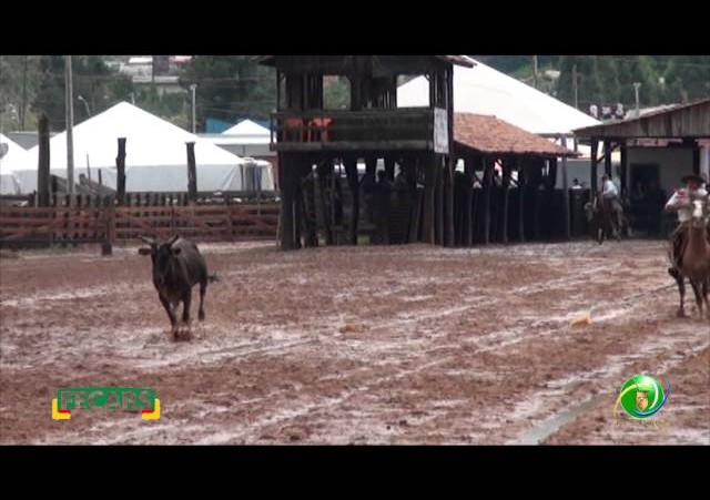 Fecars 2013 - Laço Patrão - 12ªRT