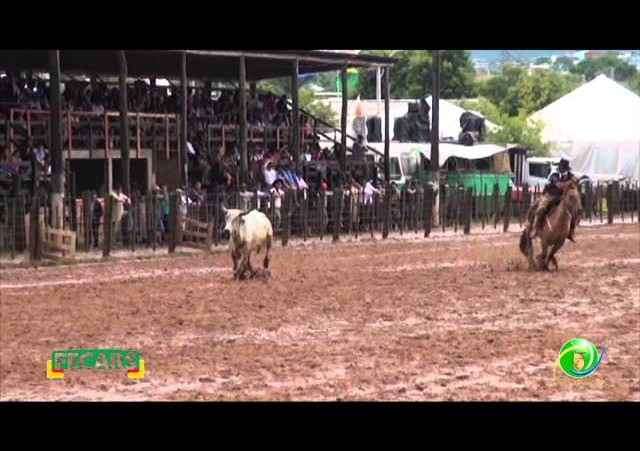 Fecars 2013 - Laço Patrão - 11ªRT
