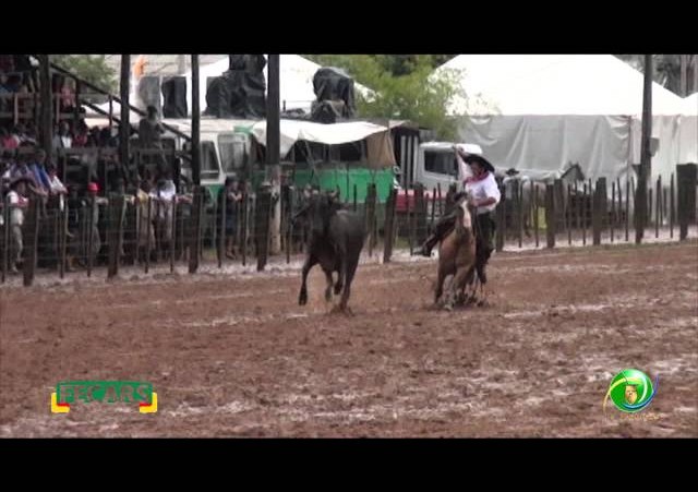 Fecars 2013 - Laço Patrão - 9ªRT