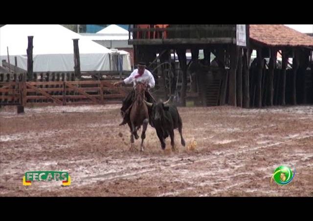 Fecars 2013 - Laço Patrão - 8ªRT