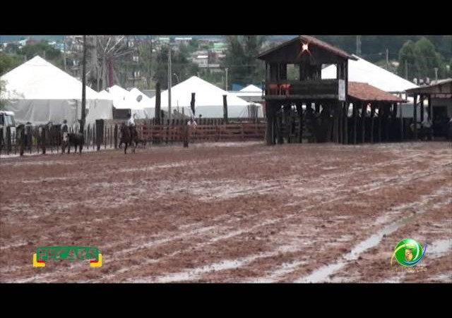 Fecars 2013 - Laço Patrão - 7ªRT