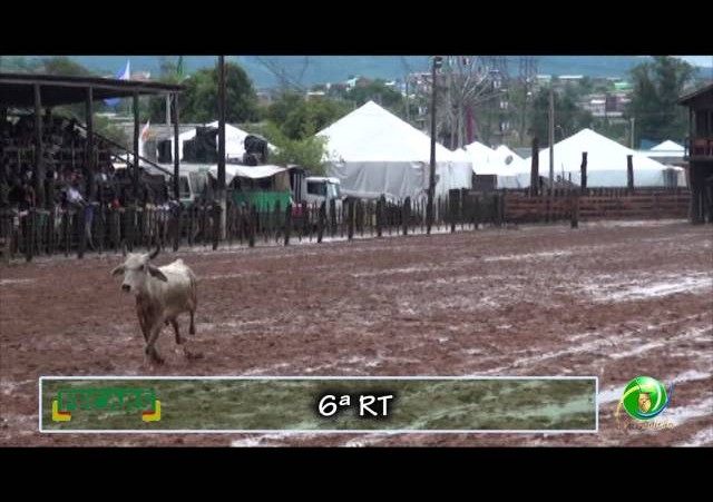 Fecars 2013 - Laço Patrão - 6ªRT