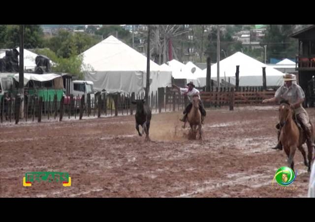 Fecars 2013 - Laço Patrão - 5ªRT