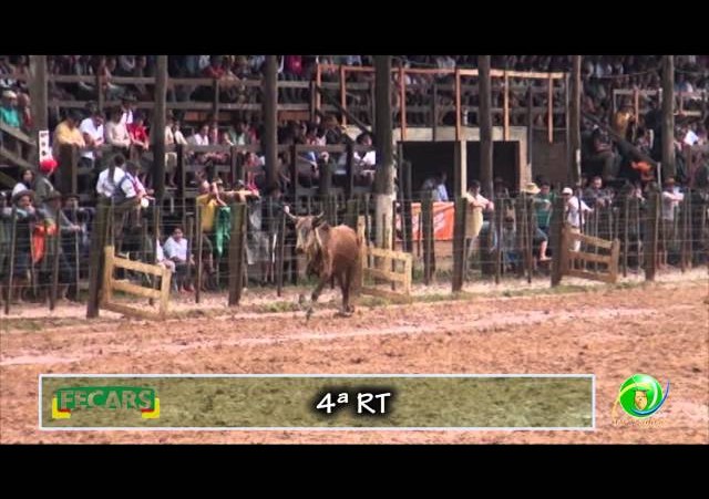 Fecars 2013 - Laço Patrão - 4ªRT