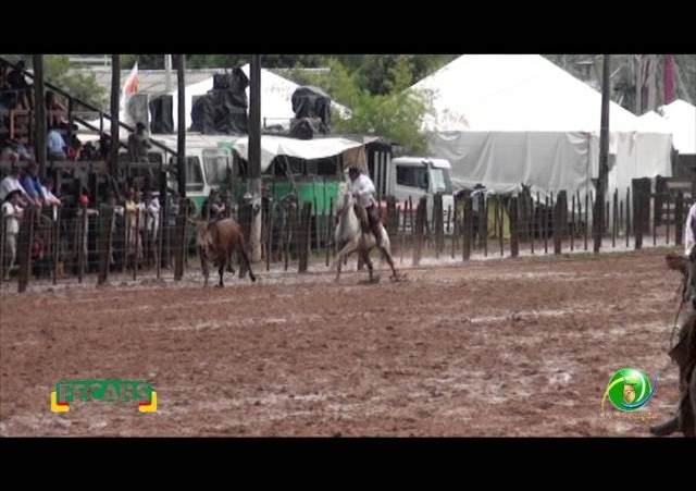 Fecars 2013 - Laço Patrão - 3ªRT