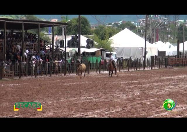 Fecars 2013 - Laço Patrão - 2ªRT