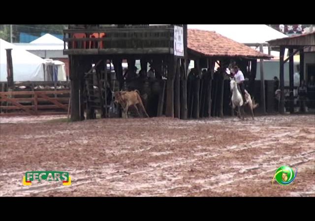 Fecars 2013 - Laço Patrão - 1ªRT