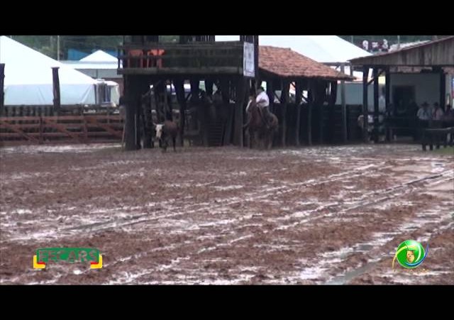 Fecars 2013 - Laço Veterano - 30ªRT