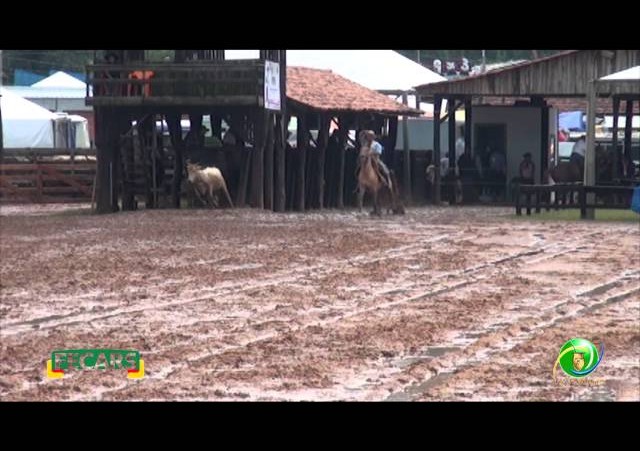 Fecars 2013 - Laço Veterano - 28ªRT