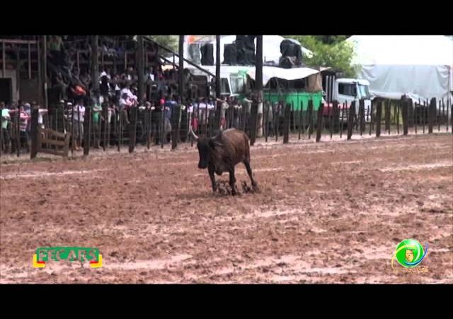 Fecars 2013 - Laço Veterano - 27ªRT